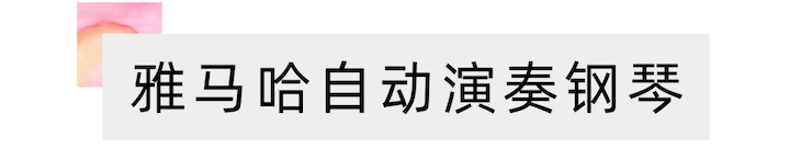 活动报道 | 远程艺术教育大师课活动—热博rb88艺术家吴晓大师课